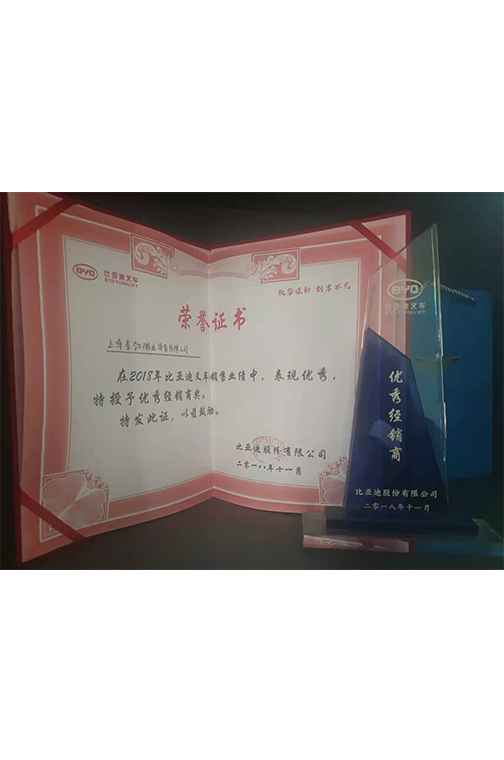 长宁区比亚迪2018优秀经销商